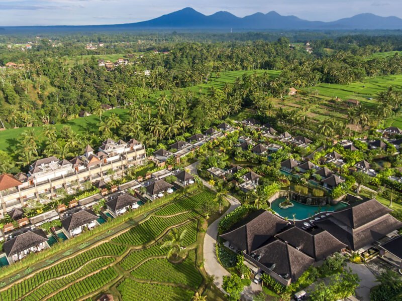 gowebsid visesaubud 01