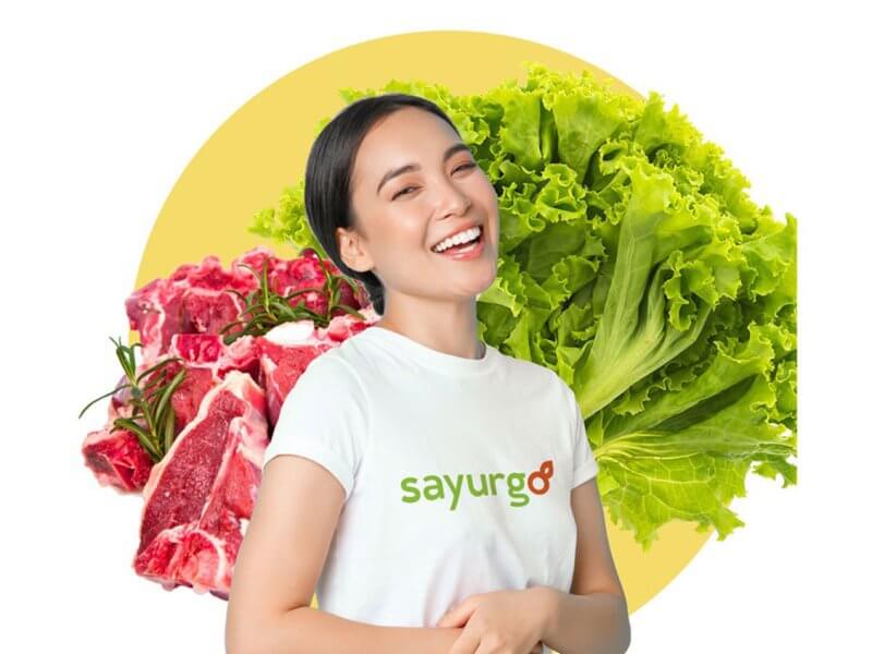 gowebs id sayurgo 02